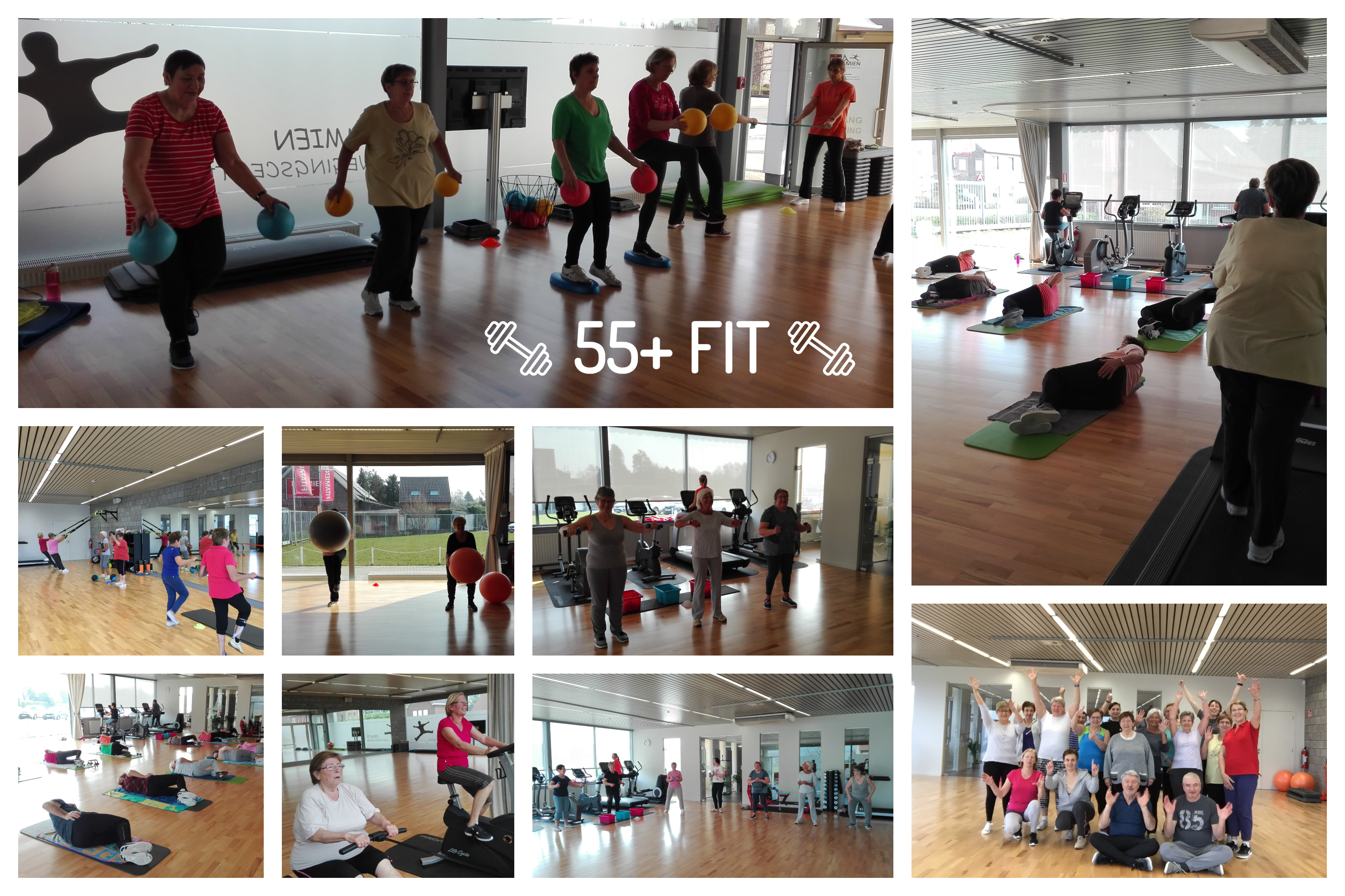 55+FIT (1)